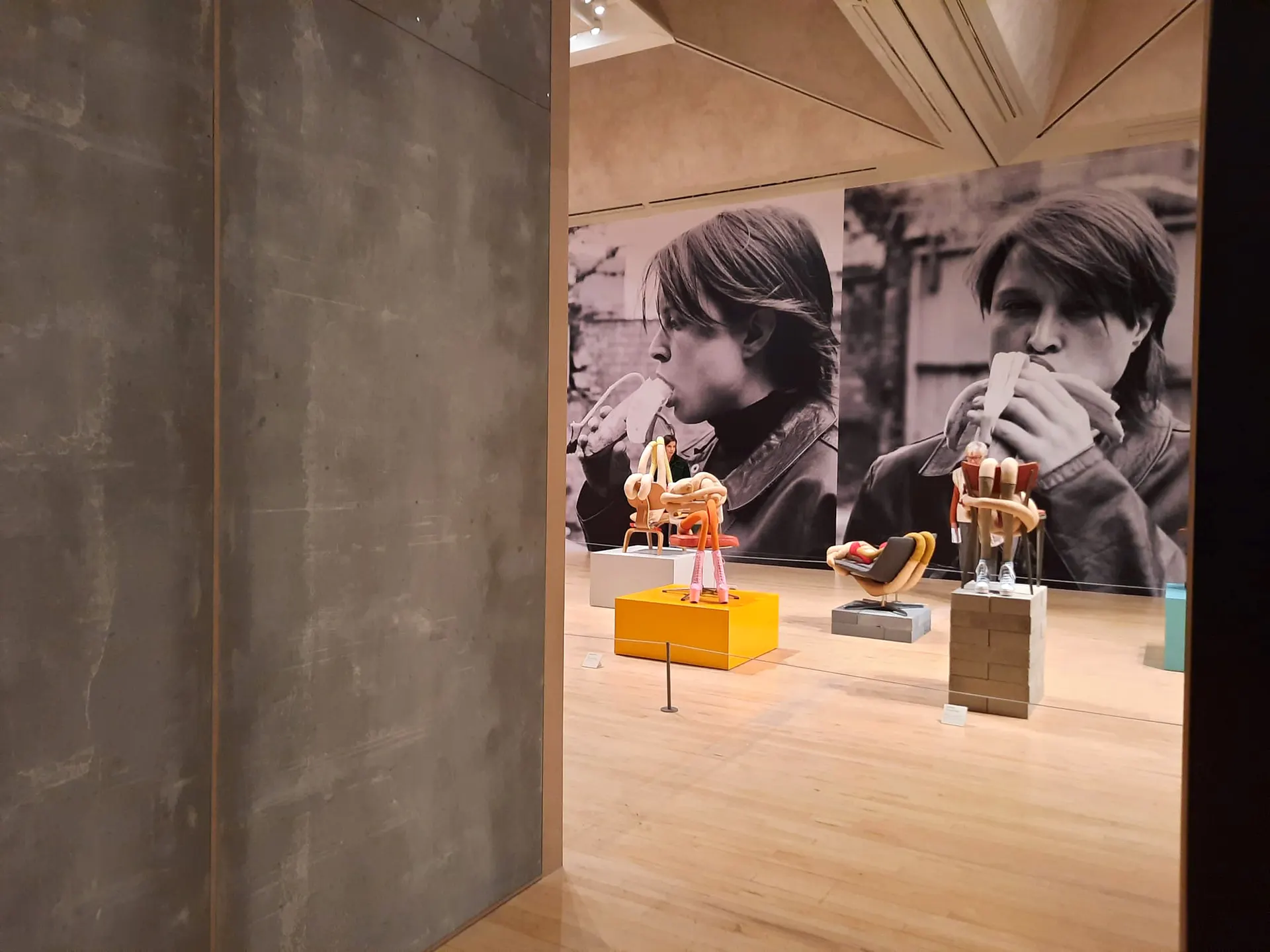 Sarah Lucas at Tate Britain, design by Irish Butcher