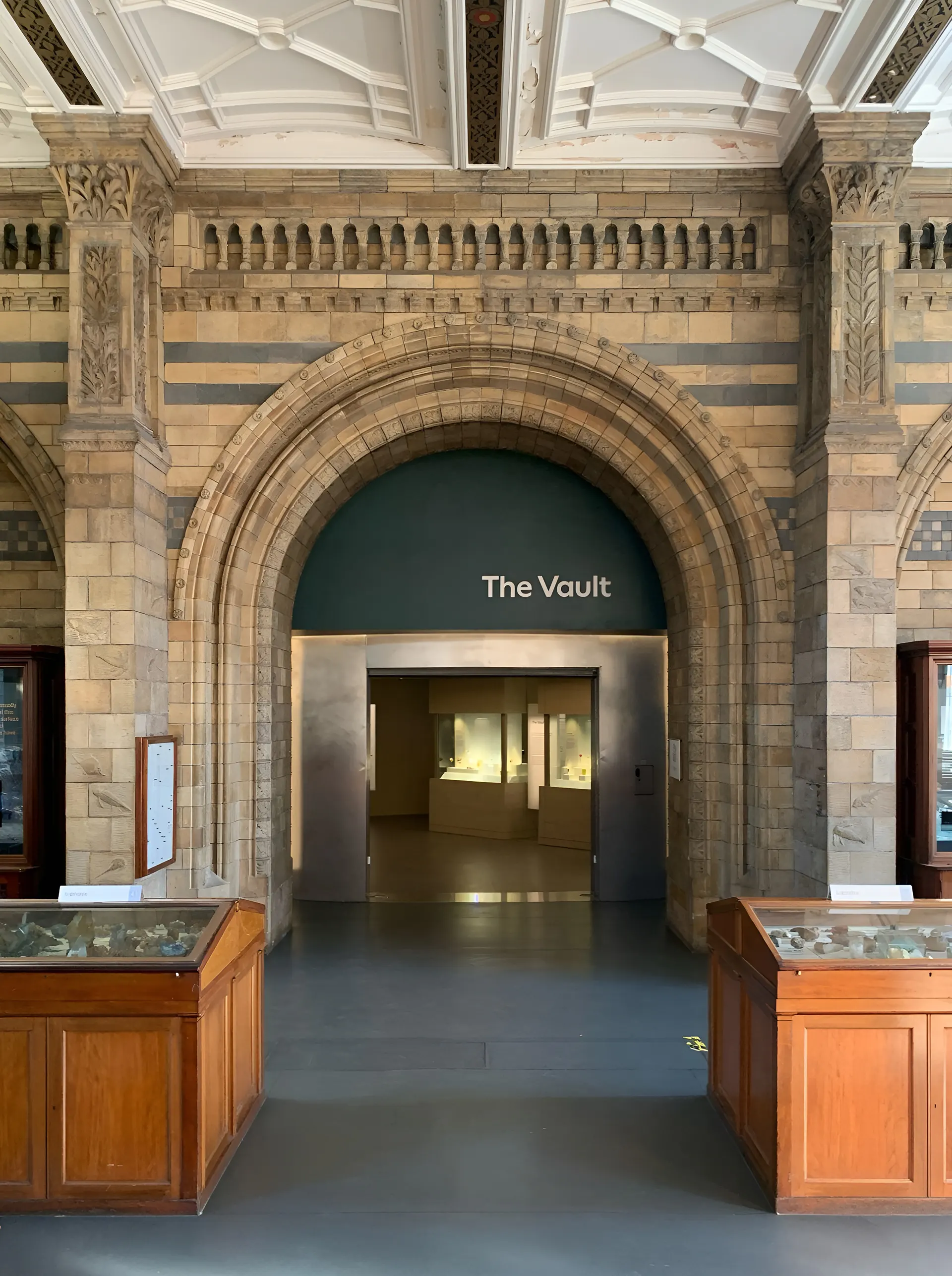 The Vault gallery at the Natural History Museum, 2D permanent gallery design by Irish Butcher