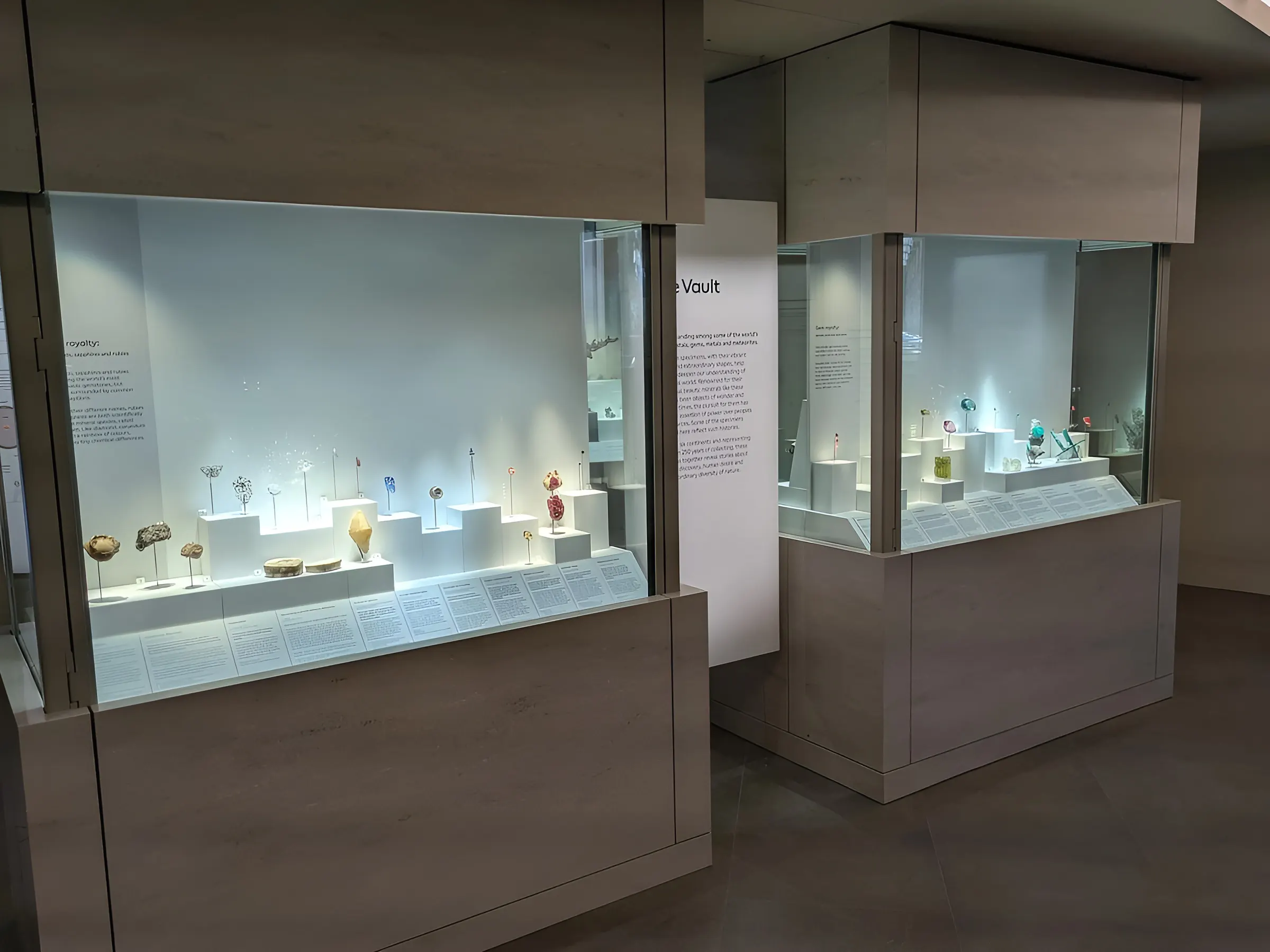 The Vault gallery at the Natural History Museum, 2D permanent gallery design by Irish Butcher