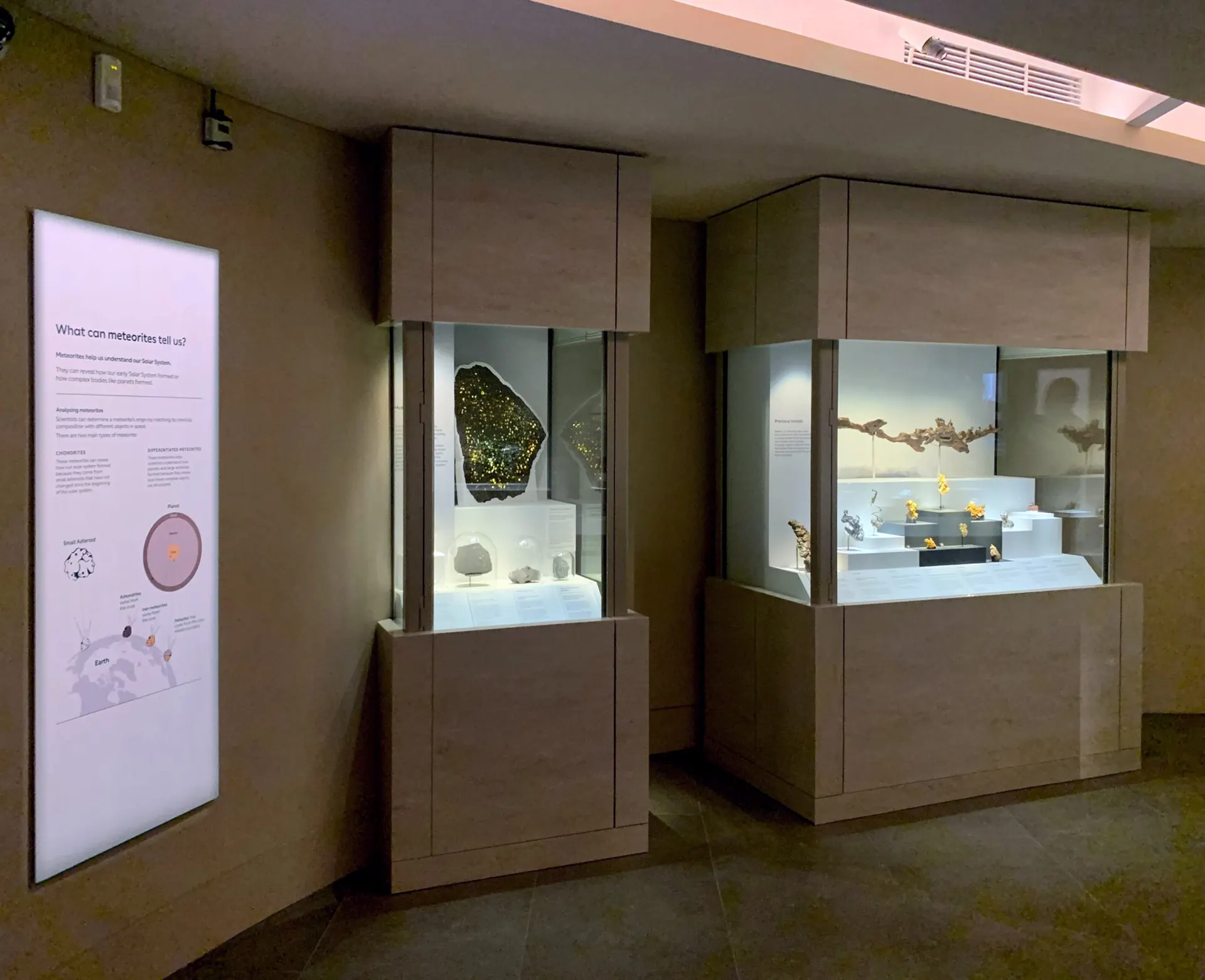 The Vault gallery at the Natural History Museum, 2D permanent gallery design by Irish Butcher