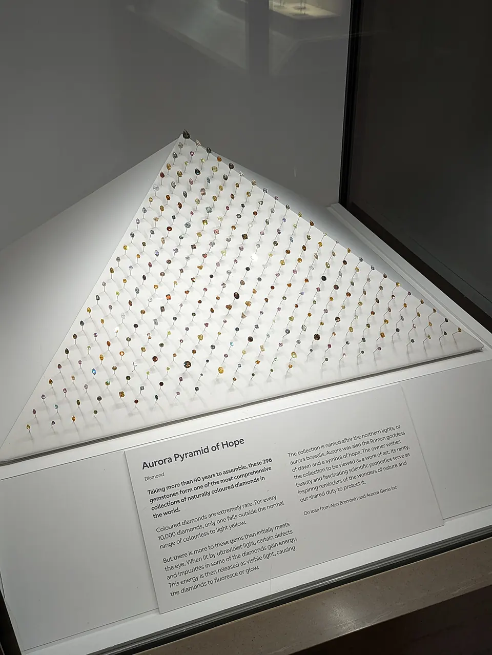 The Vault gallery at the Natural History Museum, 2D permanent gallery design by Irish Butcher