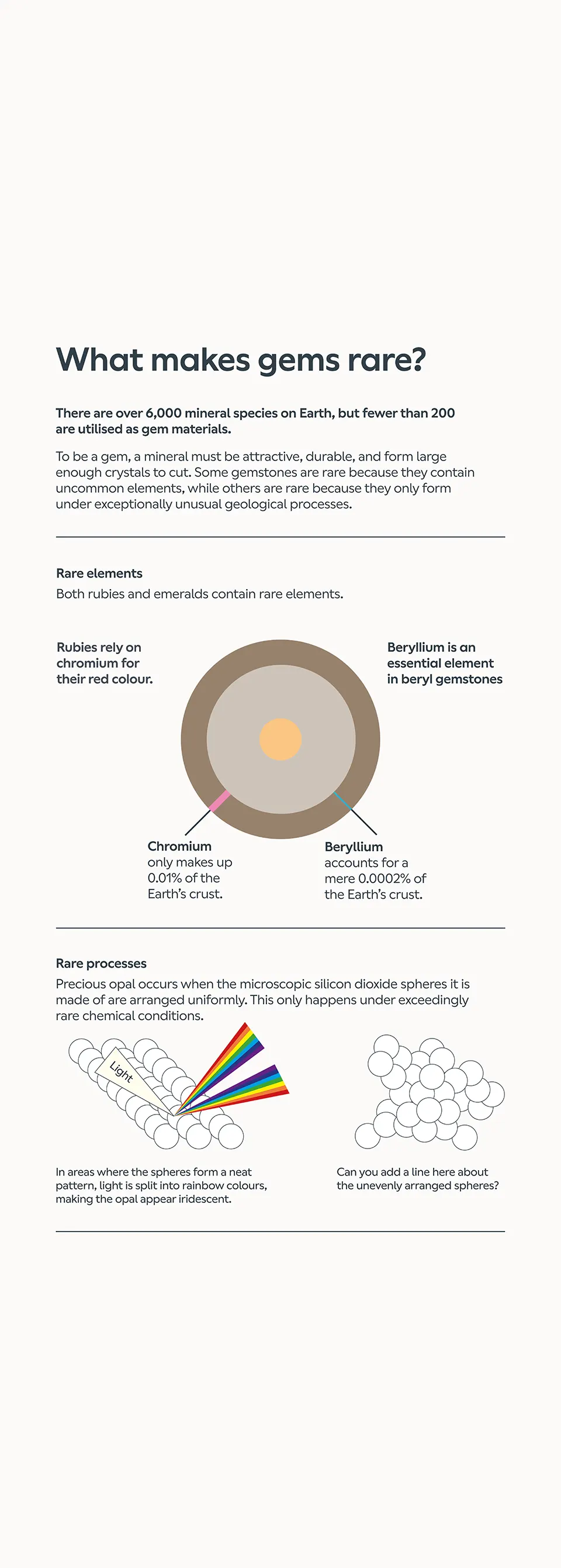 The Vault gallery at the Natural History Museum, 2D permanent gallery design by Irish Butcher